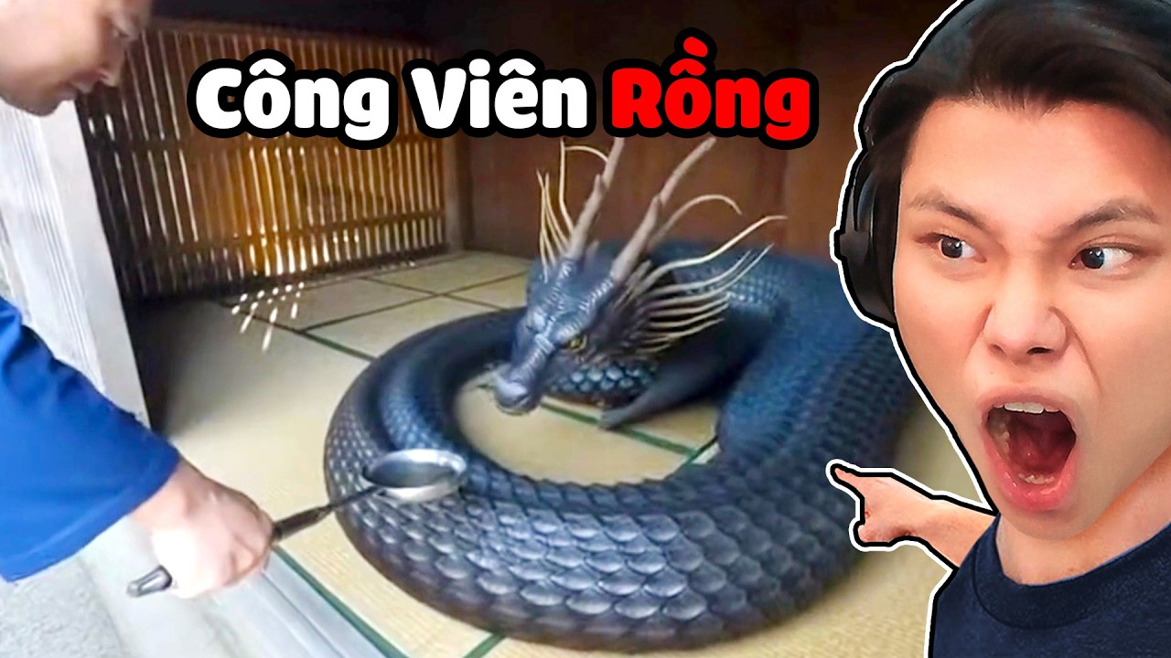 Công Viên Bảo Tồn Loài Rồng Tại Nhật Bản🐉🇯🇵JayGray Sốc Nặng Vì Rồng Con Mới Sinh Ra Trên Thế Giới