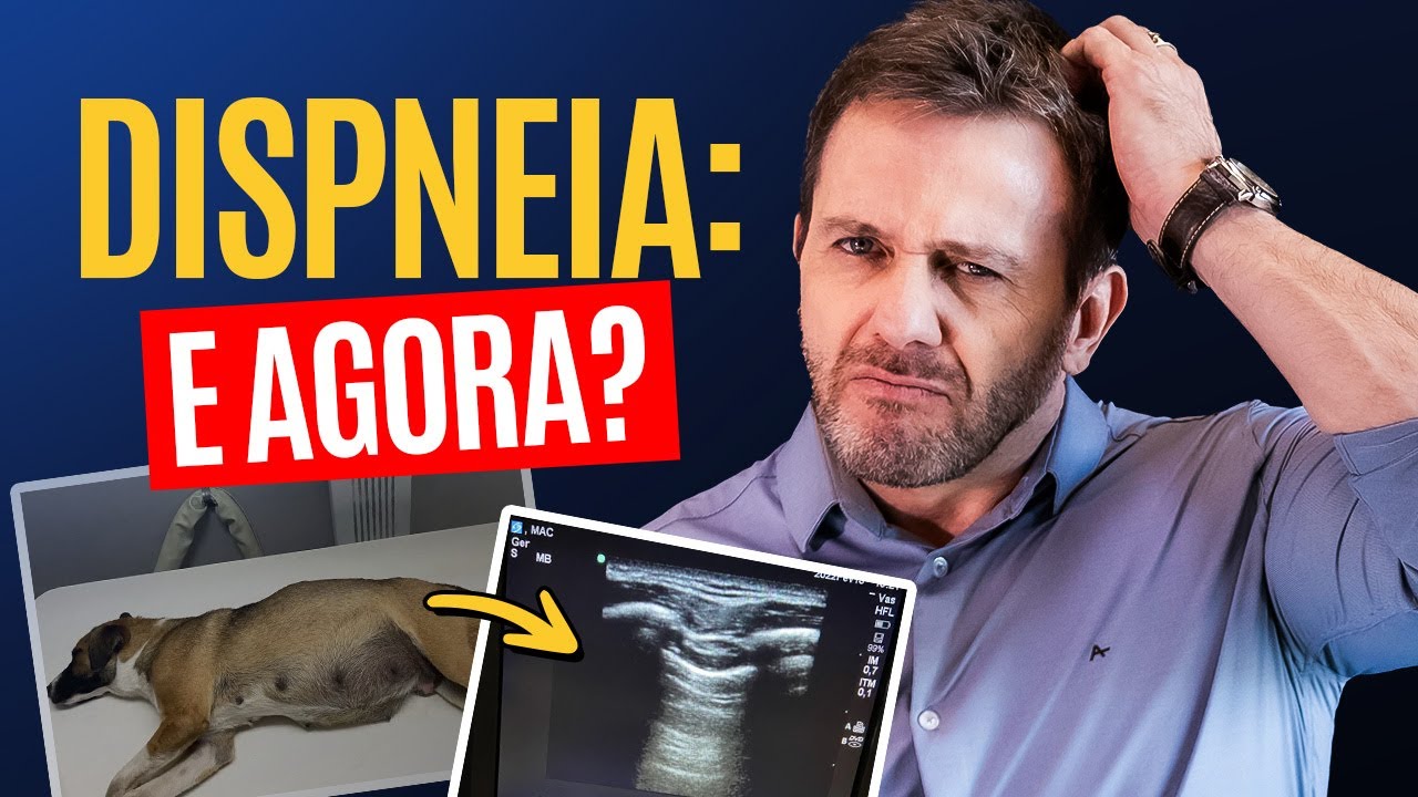 Dispneia: Como Diagnosticar e Agir Rápido Para Salvar Vidas