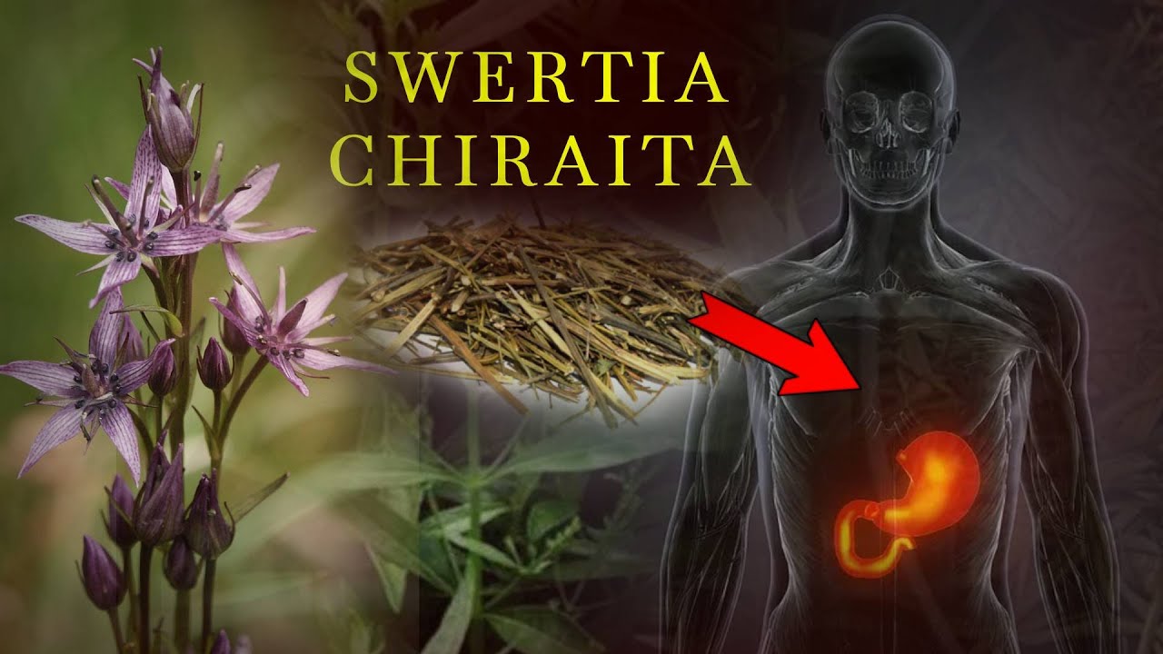 Chiraita (Swertia Chiraita ) : Distribution, Uses, Climate and Soil Cultivation Techniques