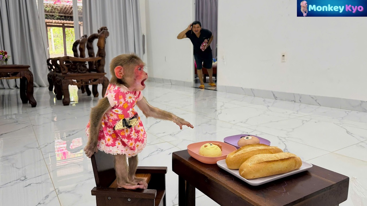 Cute monkey Kyo woke up early to buy breakfast for Dad and BuNa… So adorable! ❤️