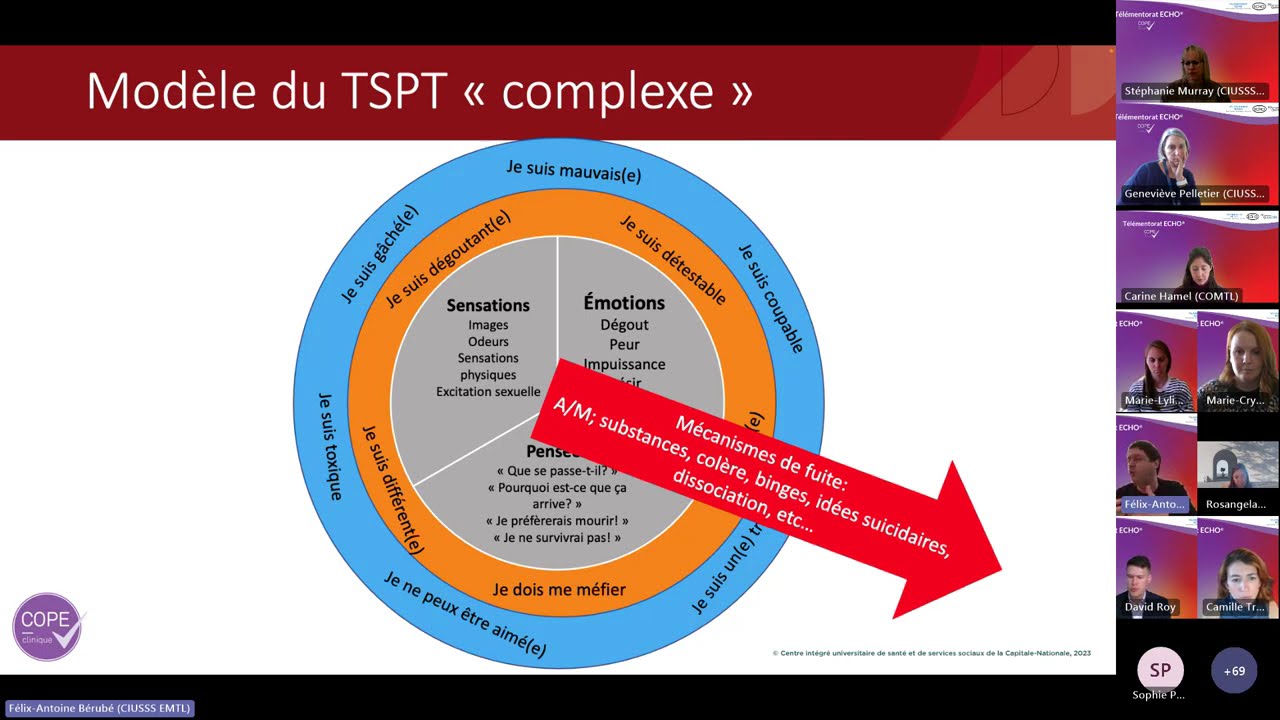 Séance 18 oct 24: Trauma complexe et TSPT complexe chez les personnes présentant un TP