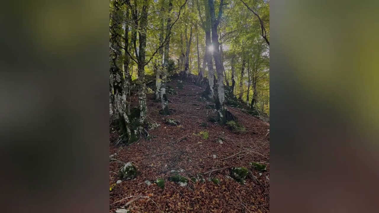 Altipiani di Camposecco (RM), parco naturale monti Simbruini
