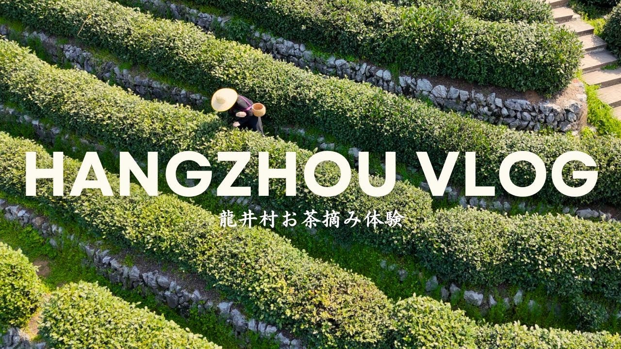 【杭州Vlog】龍井茶シーズン到来！茶摘み体験、龍井村1日観光プラン、中国浙江省杭州