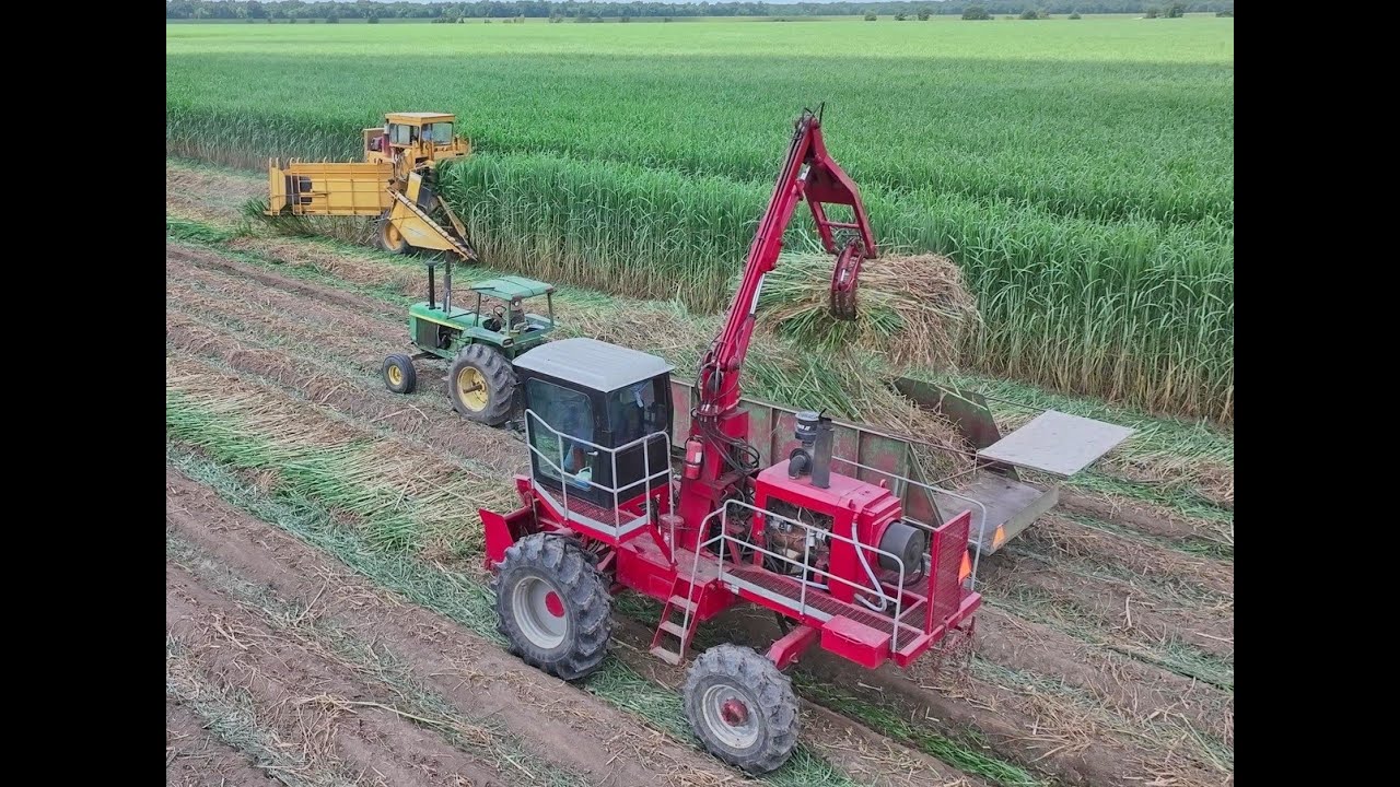 2025 Louisiana Sugarcane Planting