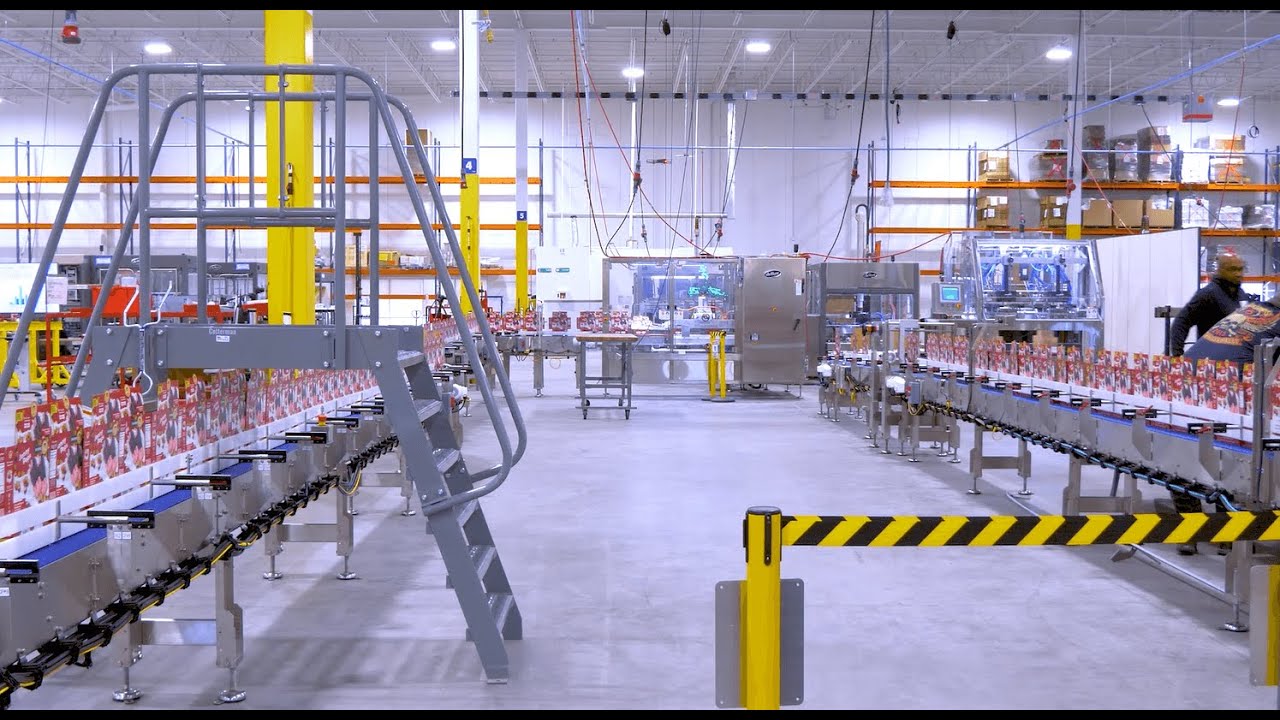 Carton Packaging Line | Frozen Treat Packing | Delkor Systems