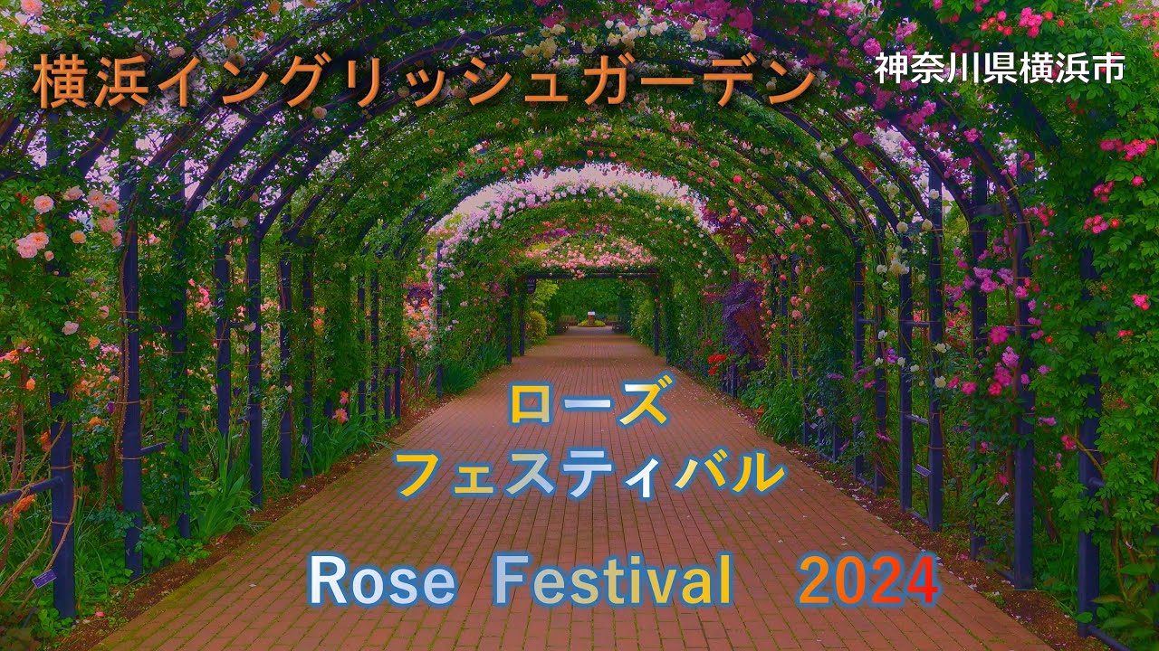 横浜イングリッシュガーデン　ローズ・フェスティバル　2024 Rose Festival　4K 神奈川県横浜市