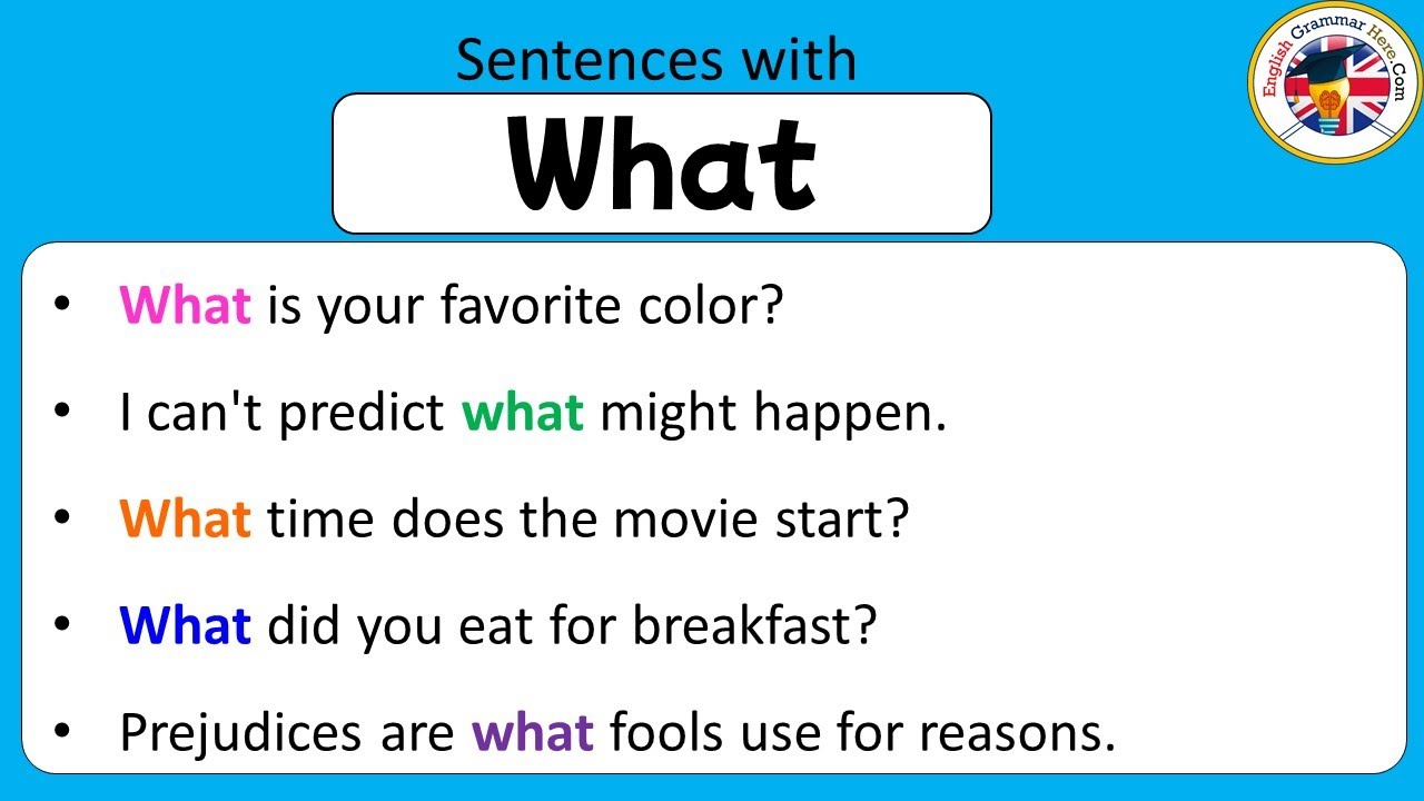 Sentences with What, What in a Sentence, Example Sentences about What #sentences #learningenglish