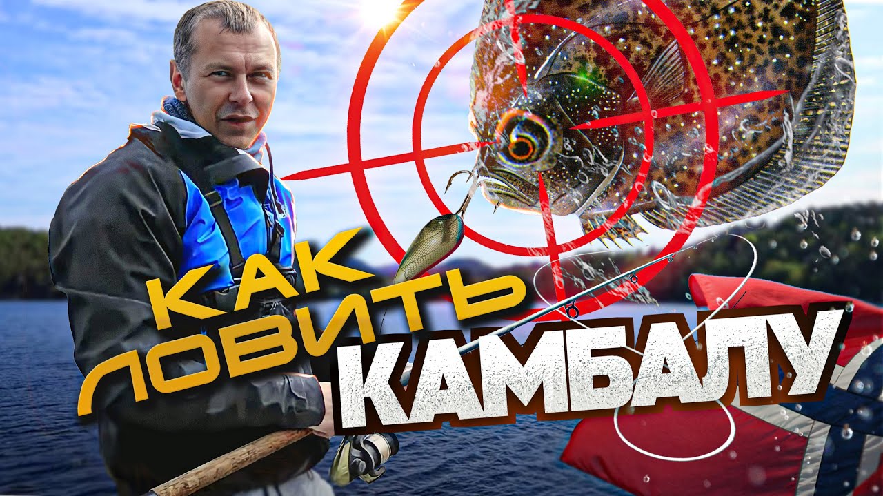 Узнайте, как ловить КАМБАЛУ в Норвегии легко и просто👍😀Рыбалка в Норвегии с берега.