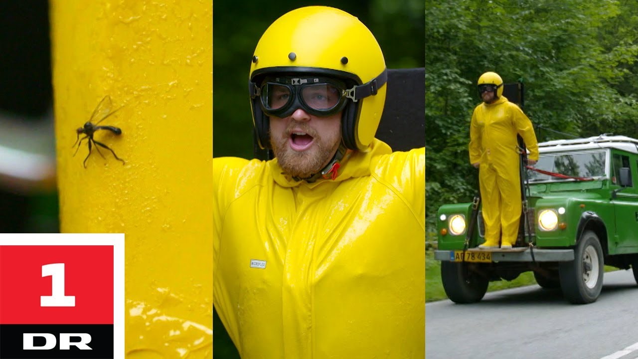 Insekter vs. klistret dragt på bil | Alle mod 1 | DR1