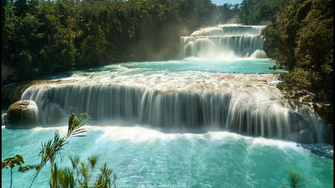 Mexico Cliff Jumping | Short Film Teaser