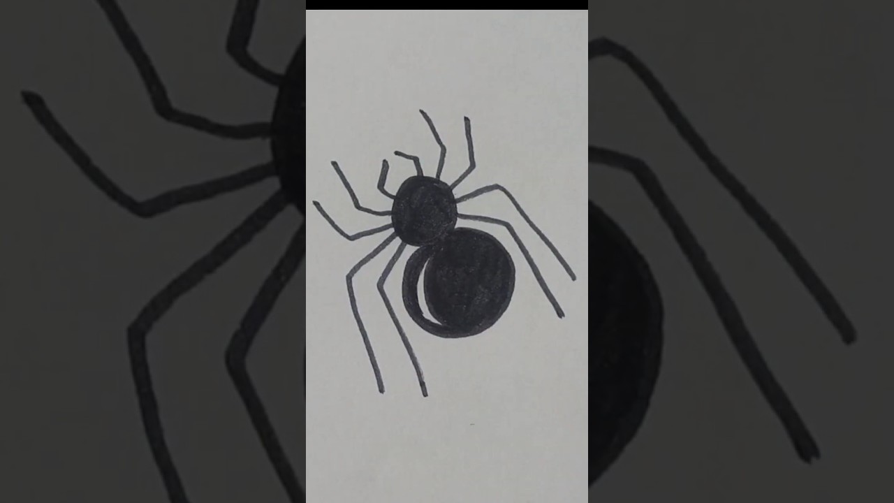 How to Draw a Spider Step by Step for Kids