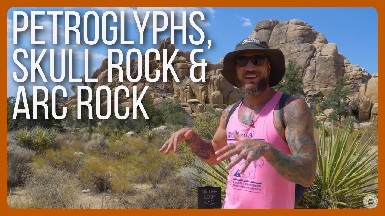 BEST TRAILS in Joshua Tree National Park - California
