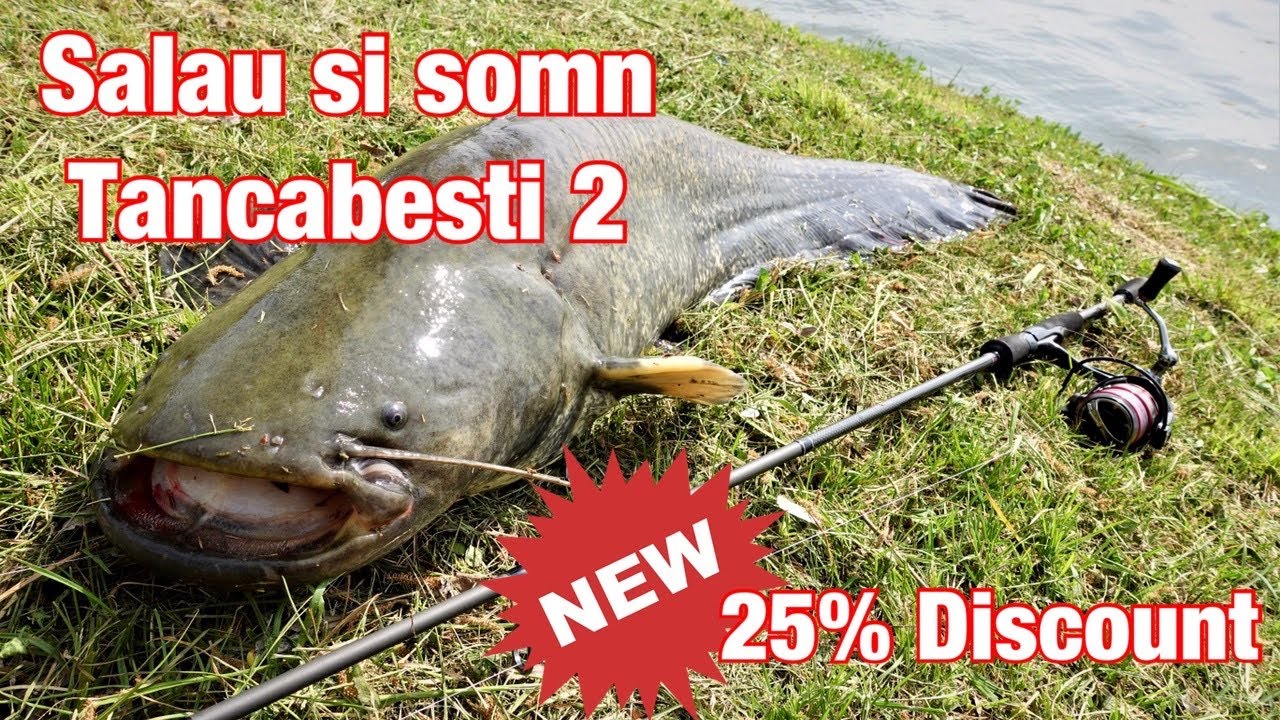 SALAU si SOMN pe Tancabesti 2