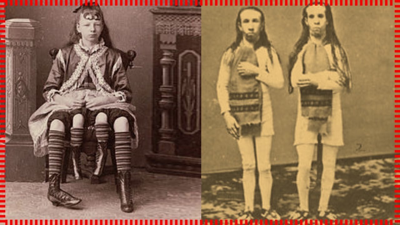 Rare Photos Of The Circus From The Past (part#2)
