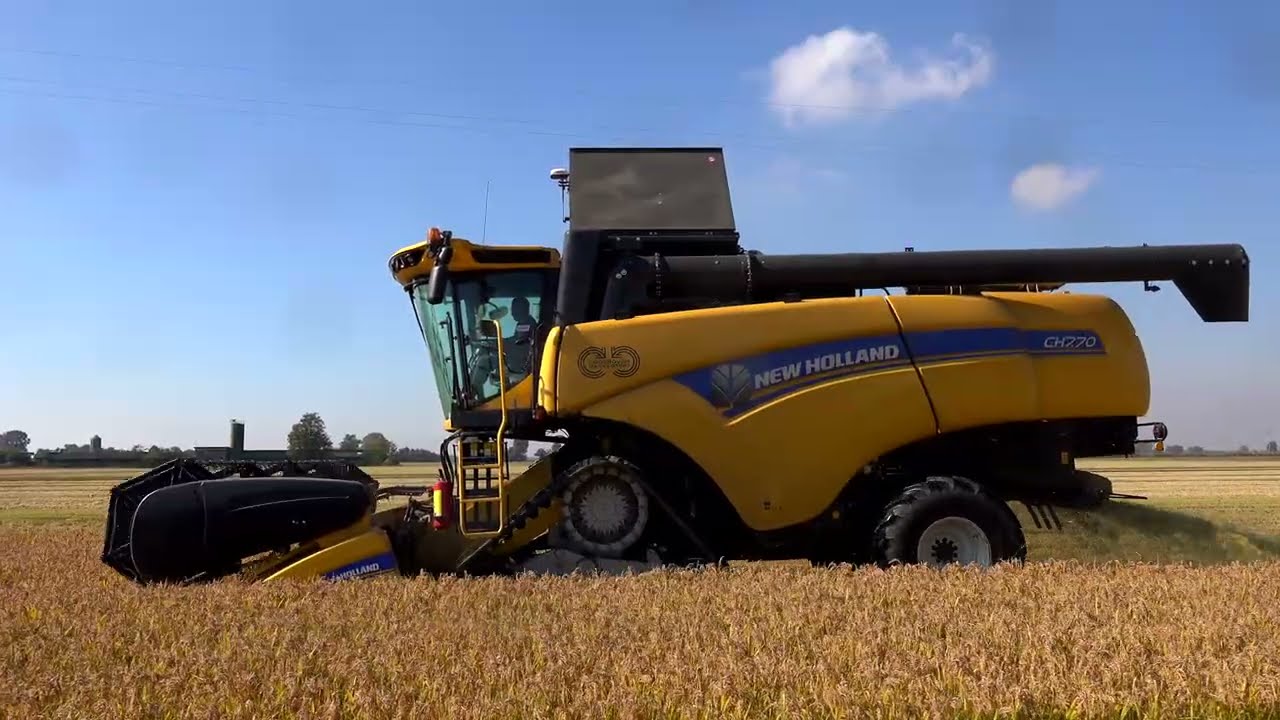 New Holland CH7.70 in risaia