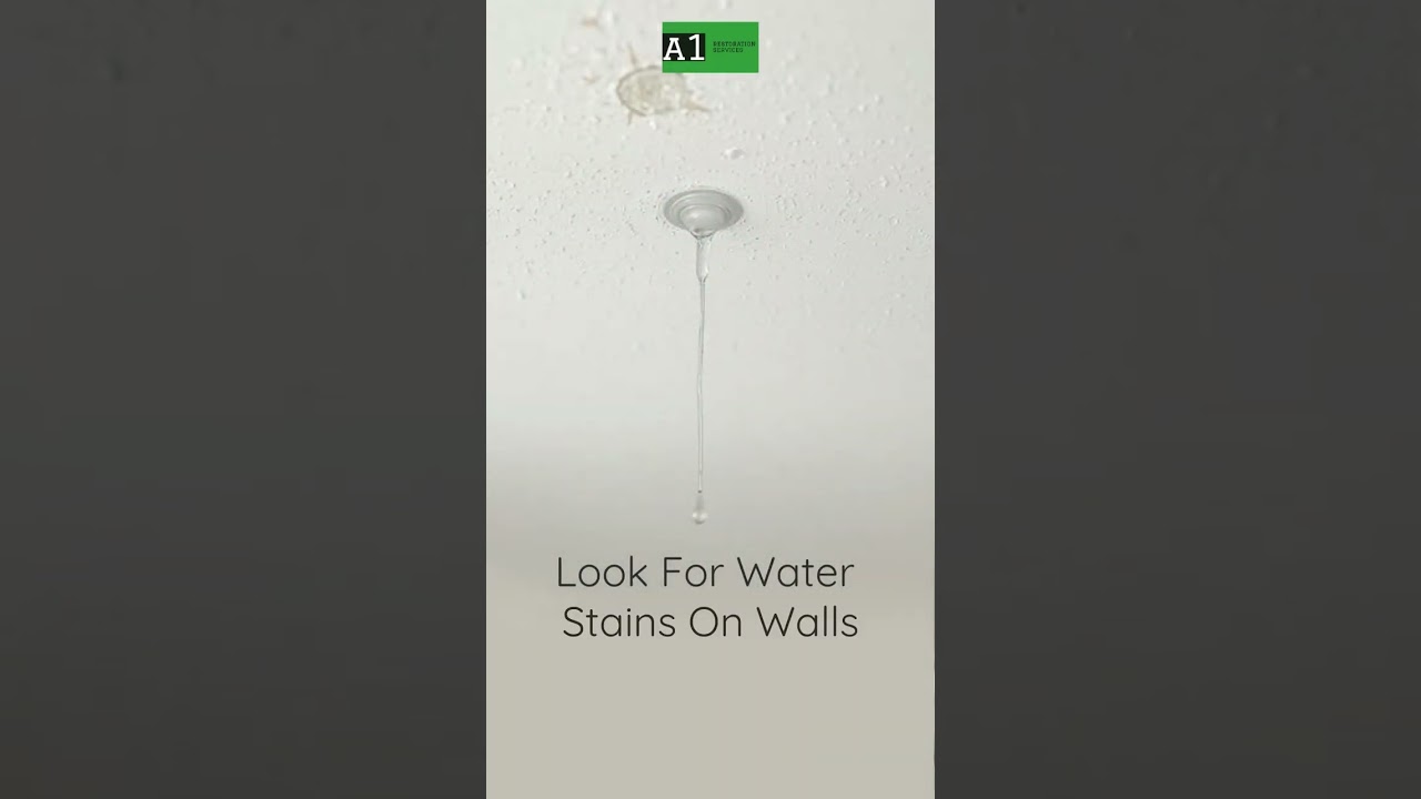 Signs of Hidden Water Damage in Your Home