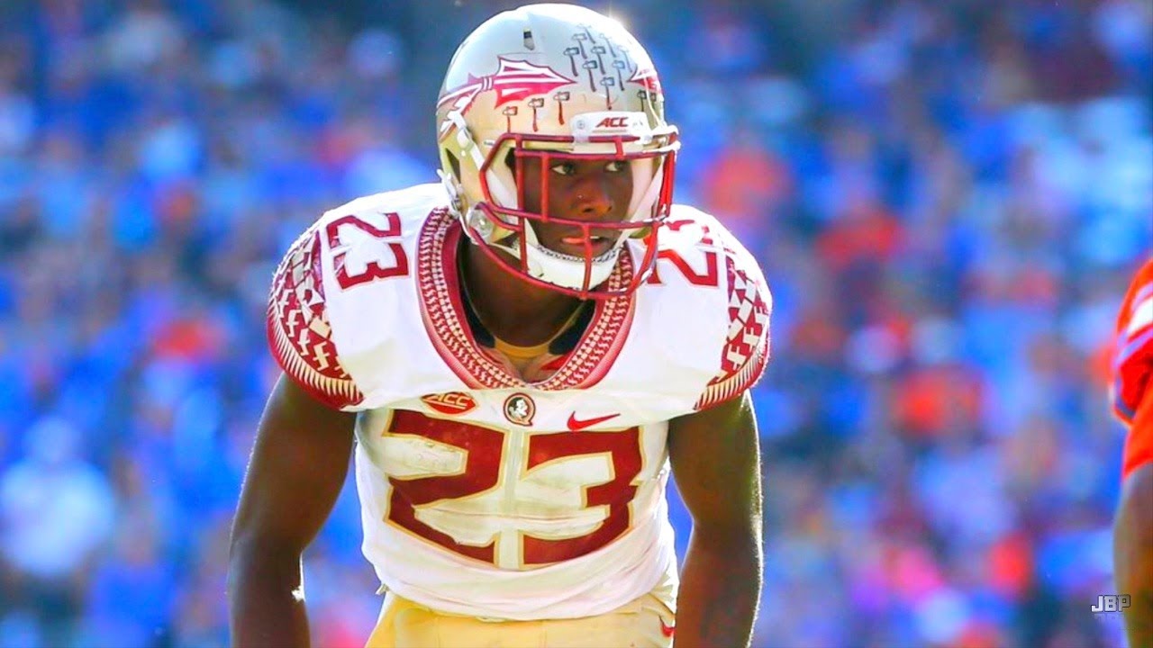Florida State Safety Hamsah Nasirildeen Highlights 🍢 ᴴᴰ