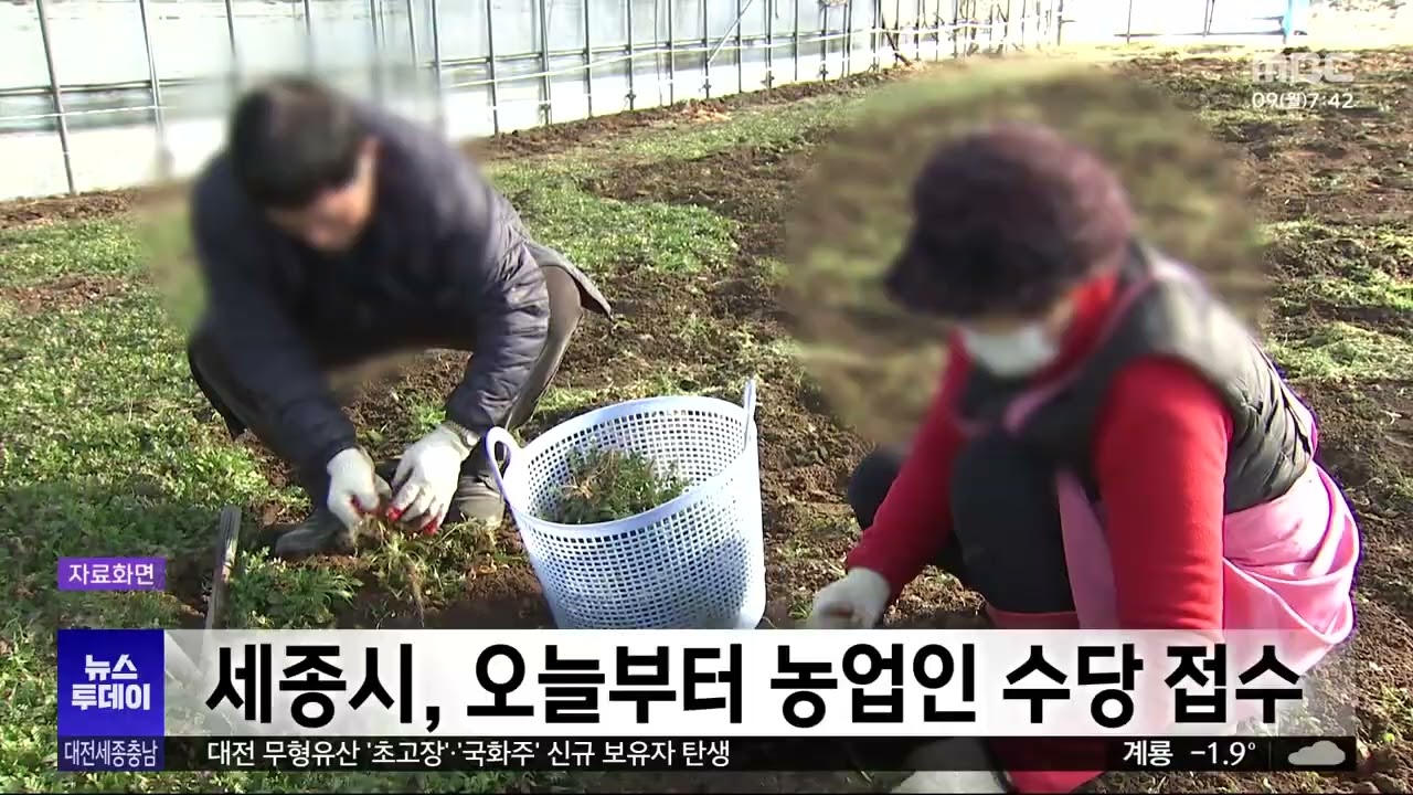 세종시, 오늘부터 농업인 수당 접수/대전MBC