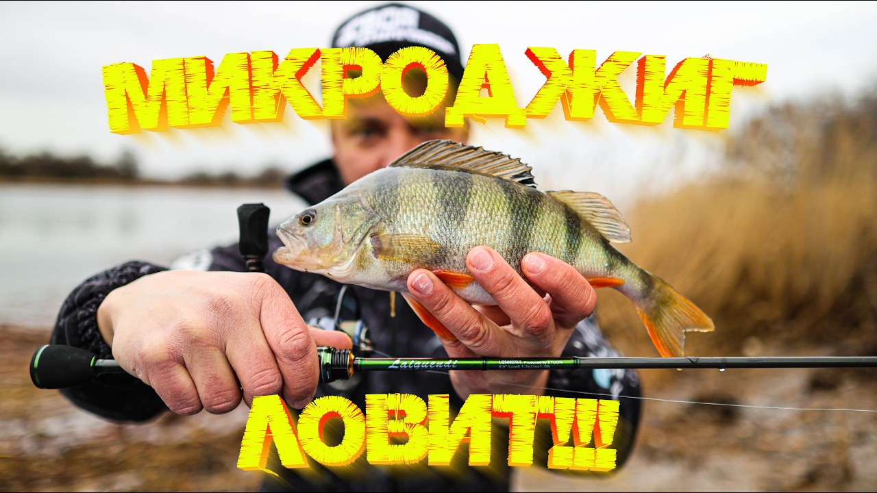 ВЕСЕННИЙ МИКРОДЖИГ 👍 Раздача ОКУНЯ на реке 💪 ВЫВОДЫ по спиннингу Hearty Rise Laquiendi 👍
