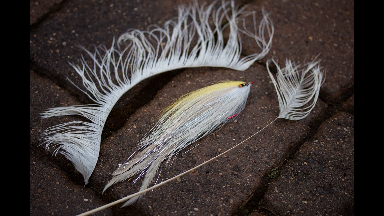 Stripped Ostrich Deceiver - Freestyle Friday 