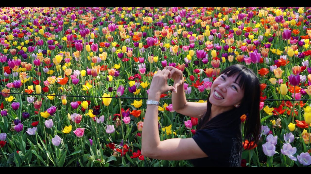 Keukenhof - April 21, 2019