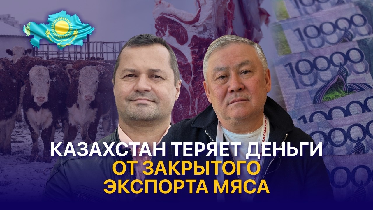 Как ограничения экспорта вредят животноводству и как повысить рентабельность ферм?
