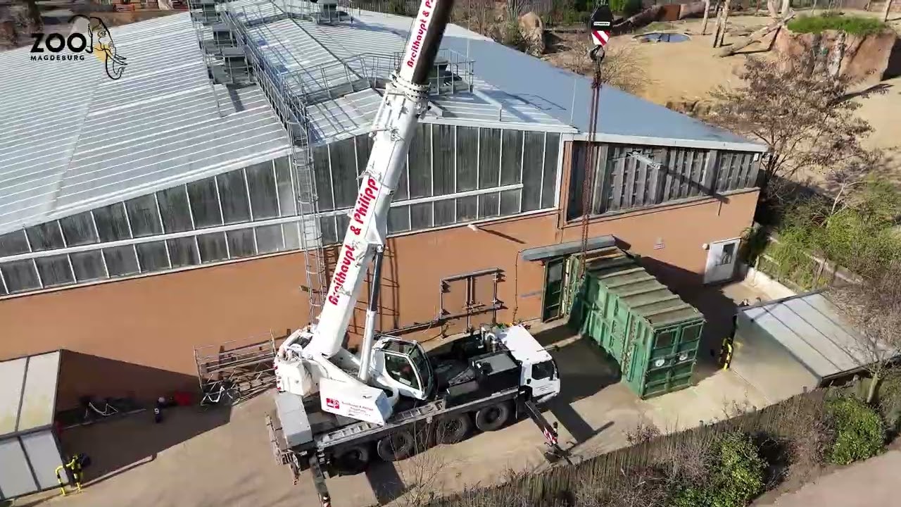 Transfer des Elefantenbullen Uli Zoo Magdeburg