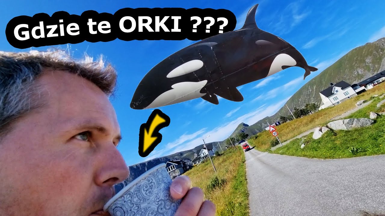 Płyniemy oglądać Orki i Wieloryby !!! - Jak Wygląda Rejs na Wyspę Vaeroy w Norwegii ??? (Vlog #591)