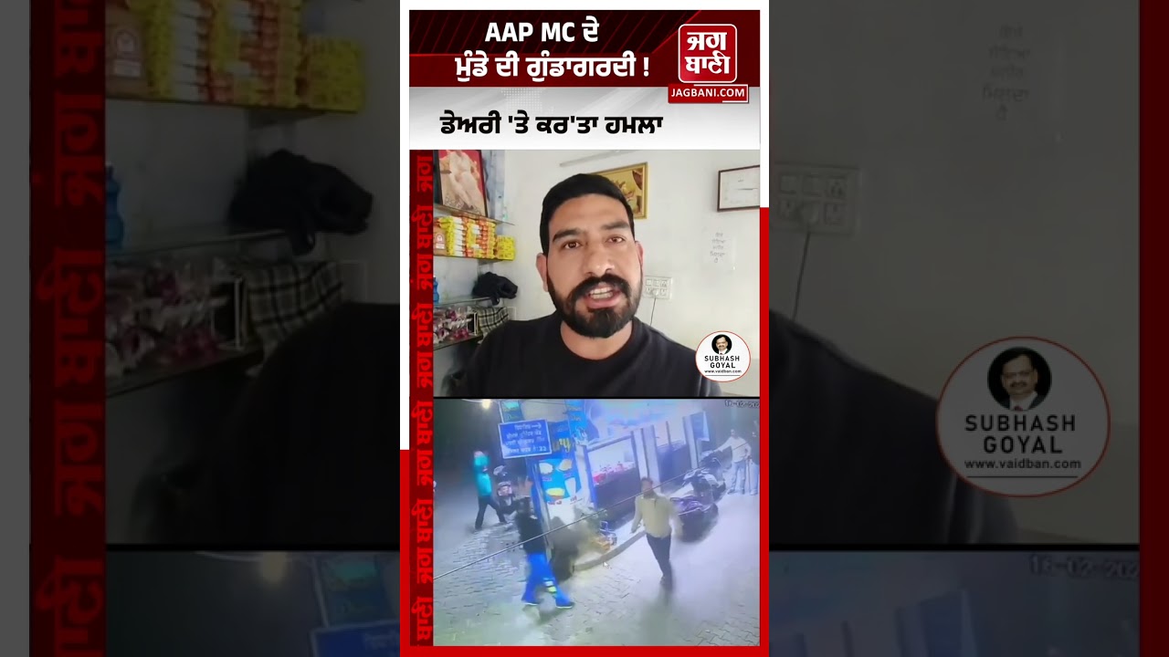 ਡੇਅਰੀ 'ਤੇ ਕਰ'ਤਾ ਹ/ਮਲਾ, ਵਾਰਦਾਤ CCTV 'ਚ ਕੈਦ, AAP MC ਦੇ ਮੁੰਡੇ 'ਤੇ ਇਲਜ਼ਾਮ
