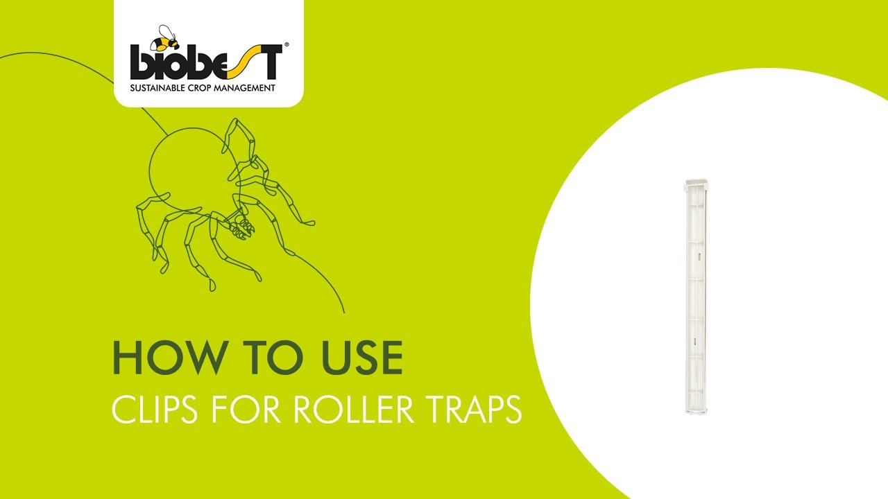 How to use clips for roller traps from Biobest