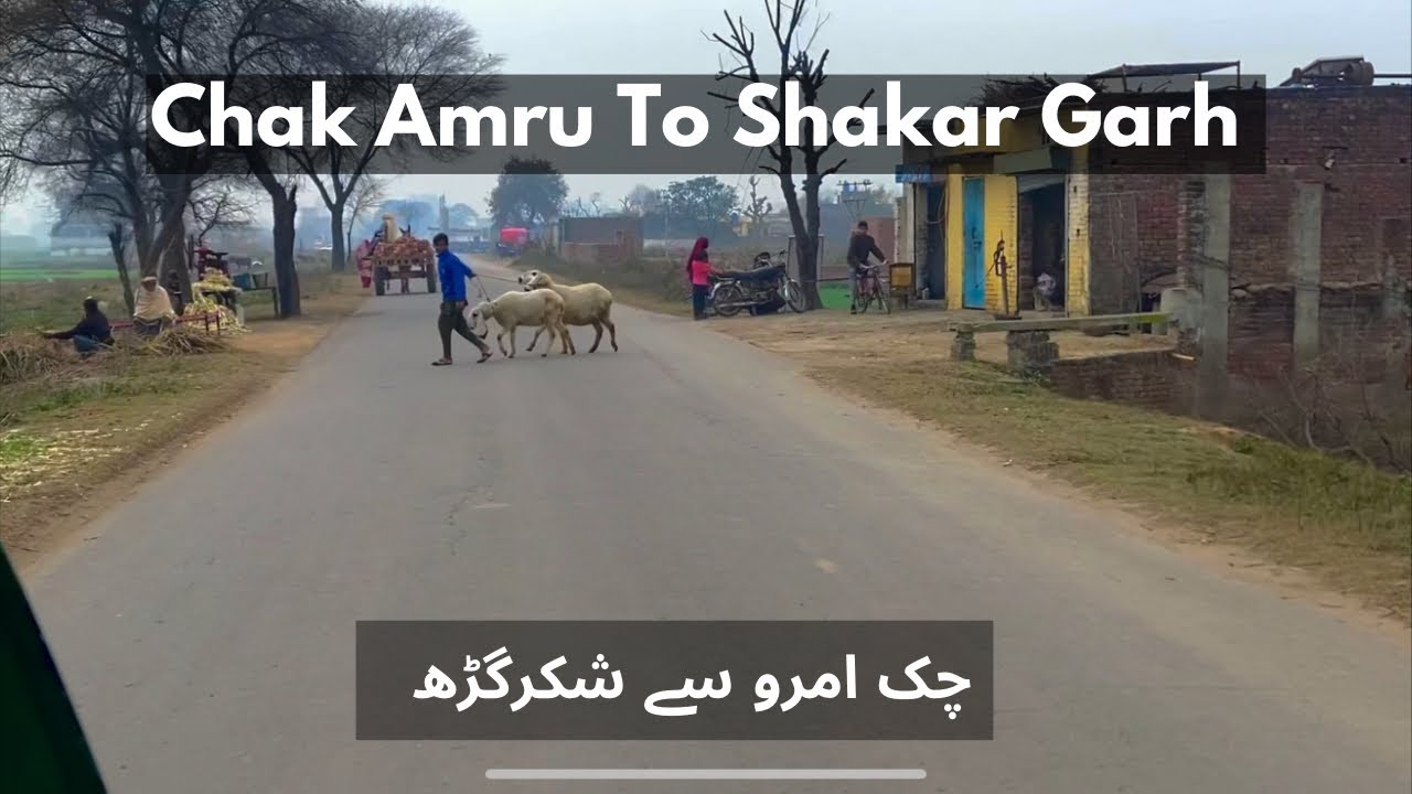 Chak Amru To Shakar Garh | Shahid Saghar