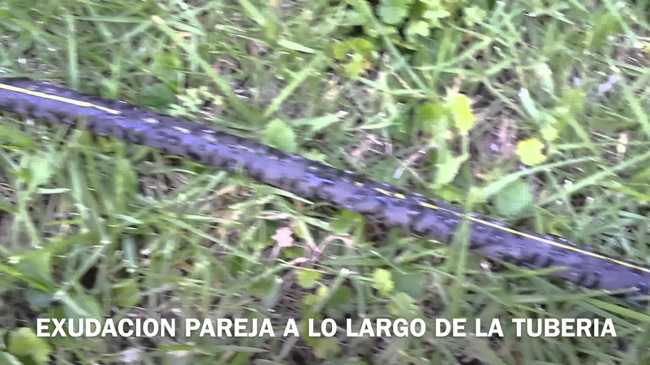 OyG Tuberia Microporosa - Aplicación: riego subterraneo
