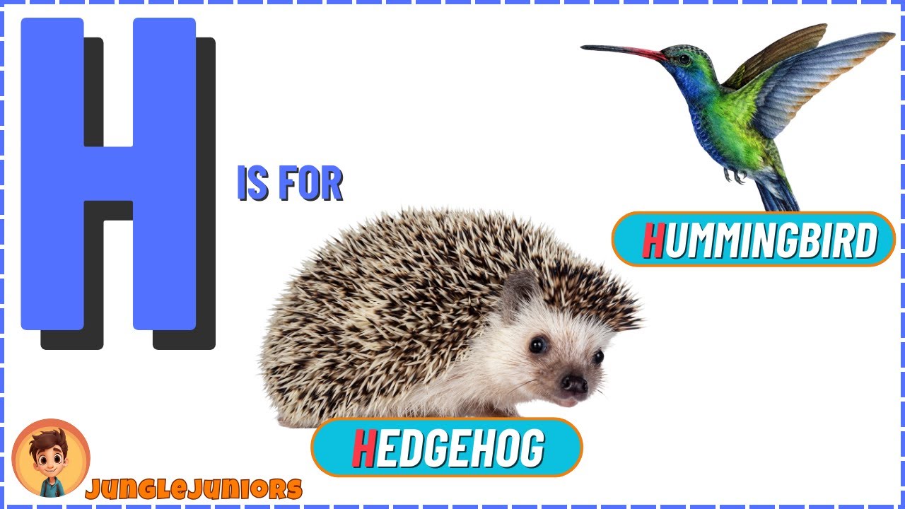 Letter H | Animal Encyclopedia | ABC Animals for Kids, Homeschooling