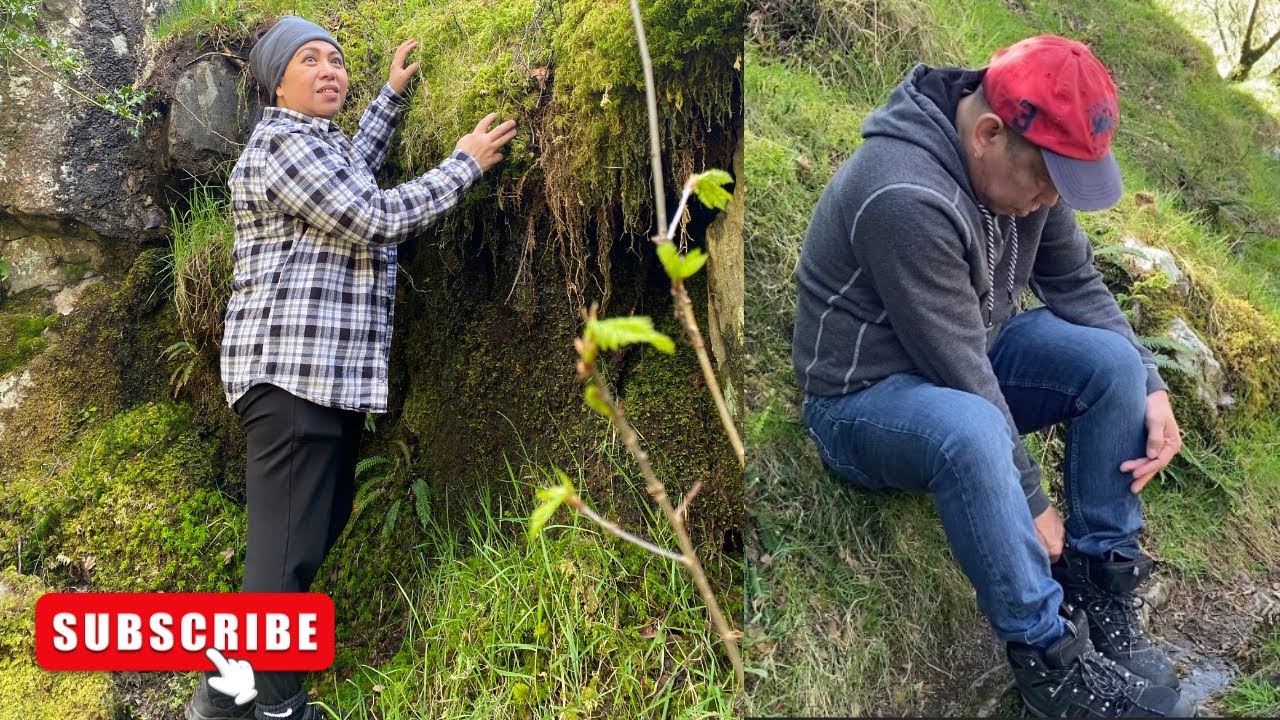 Dolgoch Falls Adventure #hiking #adventure #dolgochfalls #wales #pinoyvlogger #pinoyvlogs