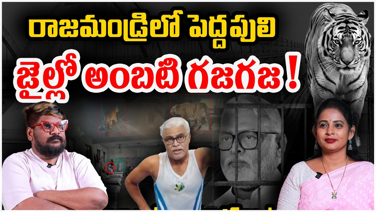 రాజమండ్రిలో పెద్దపులి జైల్లో అంబటి గజగజ !  Tiger Alert in Rajahmundry | Latest News | Social post