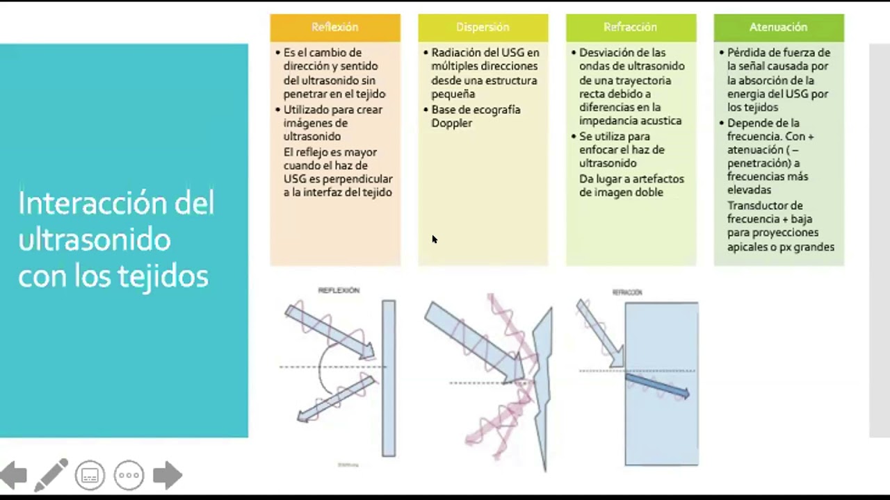 Ecocardiografia principios b&aacute;sicos