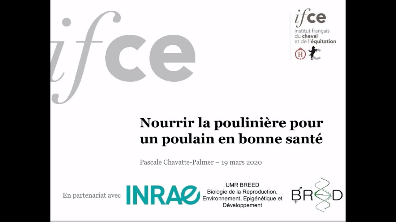 Nourrir la poulinière pour un poulain en bonne santé - Pascale Chavatte -Palmer