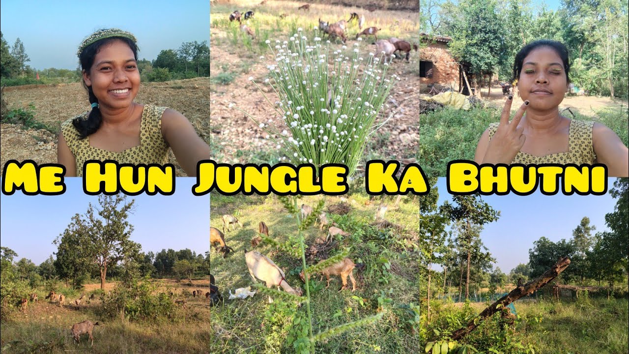 I am a jungle ghost #Bhutni #Waterfall City Deogarh #Daily life #nilima baa vlogs