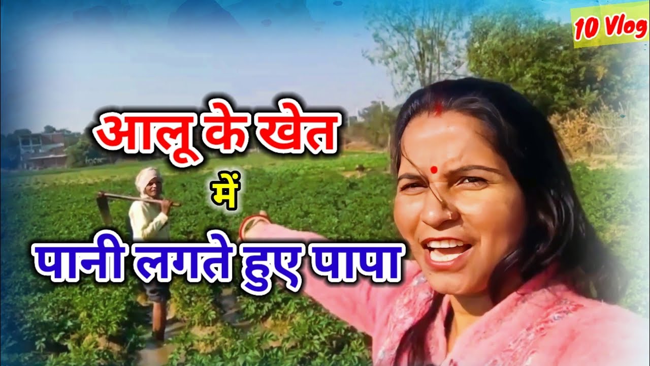 आलू के खेत में पापा ने लगाया पानी|पापा ने खेत में लगाया पानी|Papa watered the potato field 