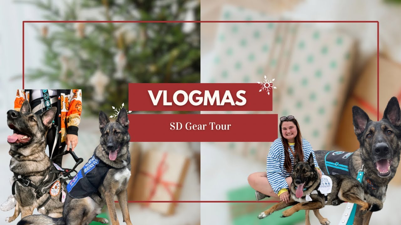 2024 Service Dog Gear Tour and where we got it!| Vlogmas