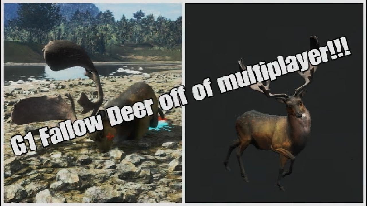 G1 Fallow Deer off of multiplayer