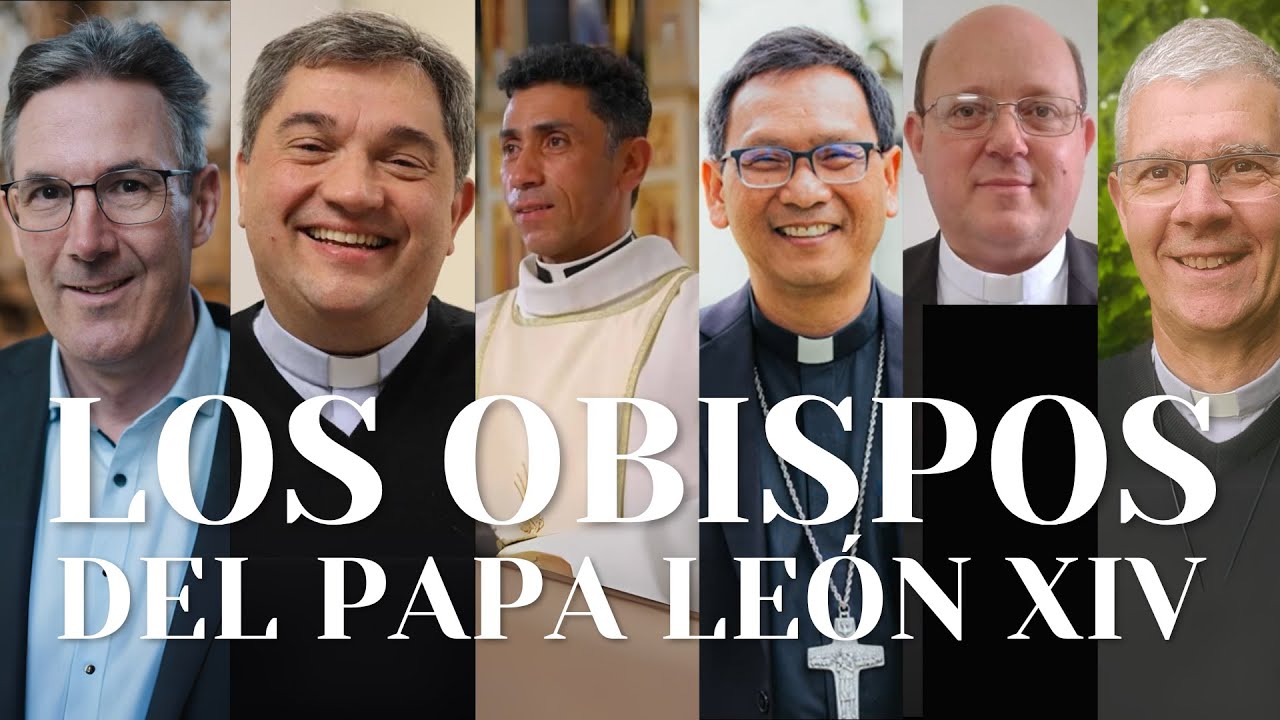 10 obispos nombrados por el Papa Le&oacute;n XIV: &iquest;Qu&eacute; significa?