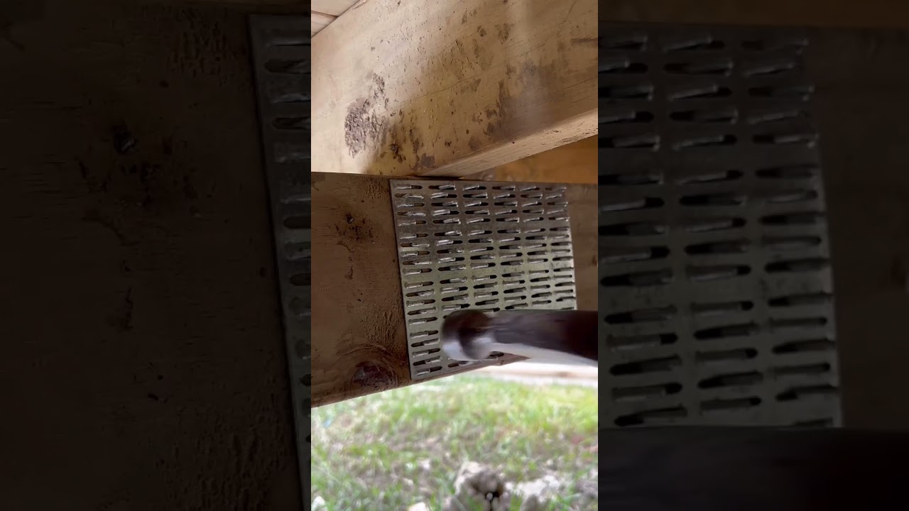 Nail plate hammering sound !!! #ytshorts #youtubeshort #youtubeshorts
