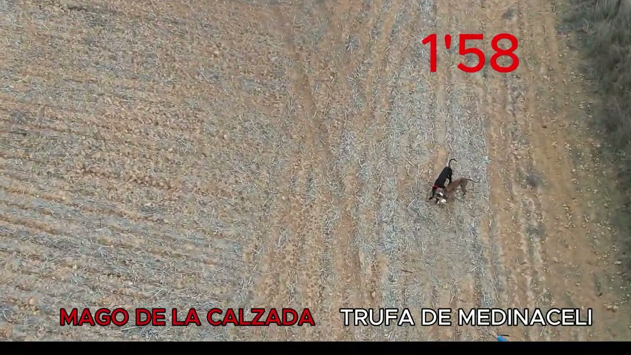 SEMIFINALES MADRID GRUPO 1 DICIEMBRE 2025