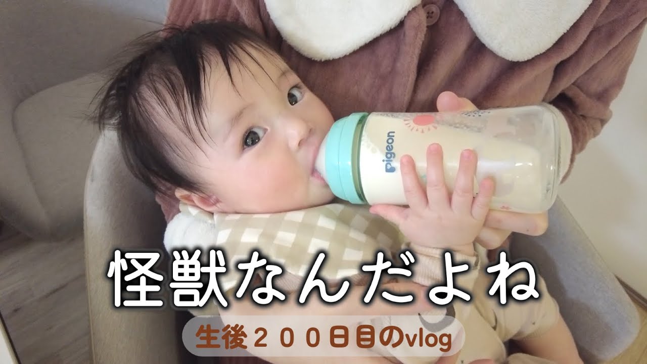 生後200日目 怪獣なんだよね｜1LDK,里帰りなし,完母育児,生後6ヶ月,vlog