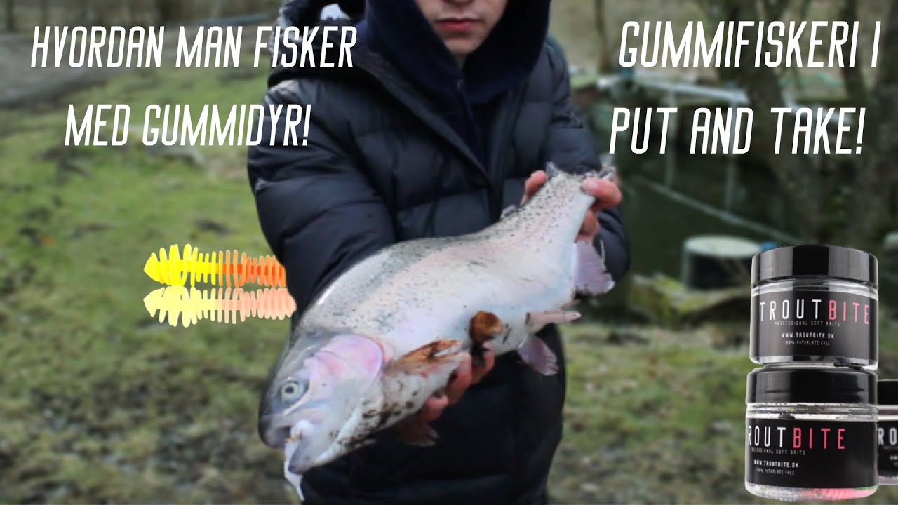 Gummifiskeri i Put and take - Ops&aelig;tning af gummidyret Jiggy jumbo.