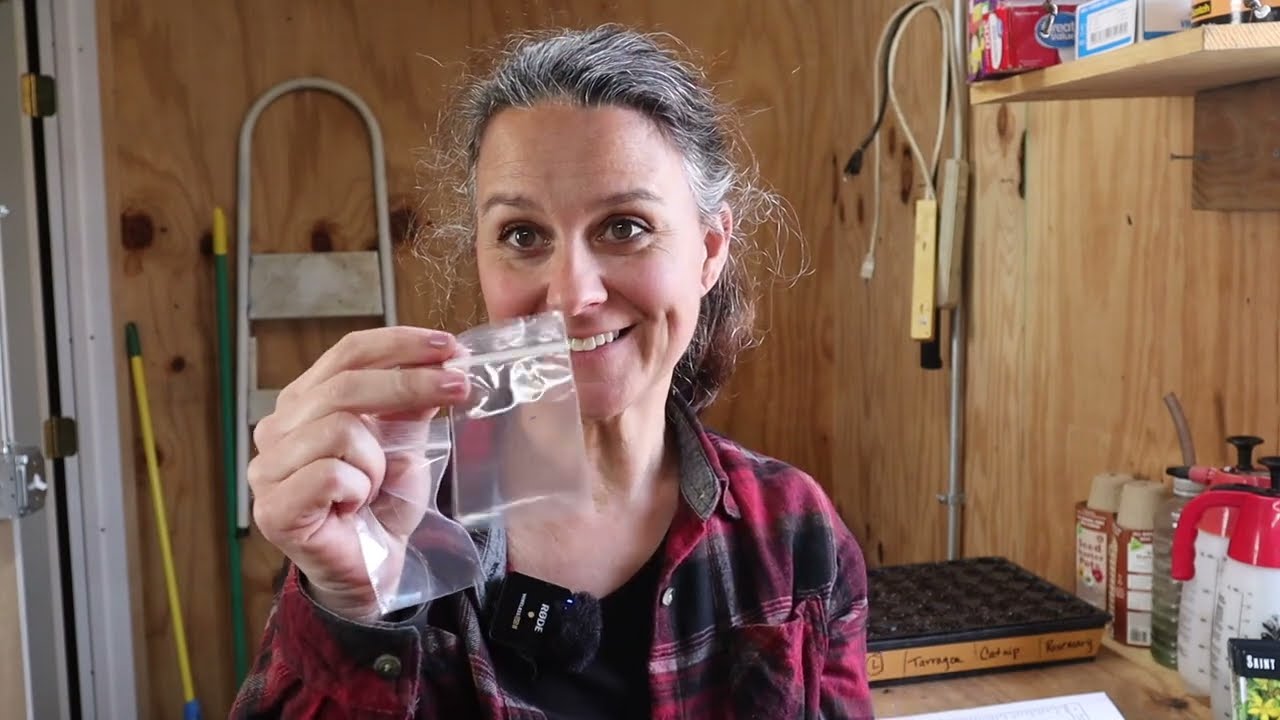 Your Seeds Will Never Fail with This System!  EVERYONE Can Have a Green Thumb.