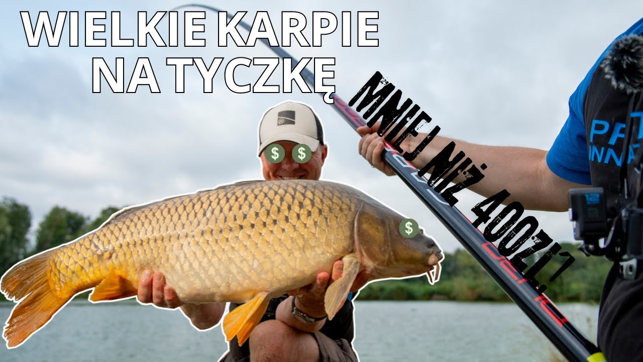 WIELKIE KARPIE NA TYCZKĘ DO 400zł - podstawy łowienia karpi na tyczkę | Adam Niemiec