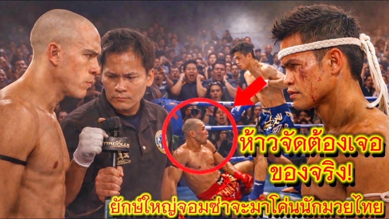 ห้าวผิดที่หรือเปล่า? อัลเมด้ายักษ์ใหญ่บราซิล บุกอเมริกาเพื่อดับซ่านักมวยไทย! ใครจะอยู่ใครจะไป? 