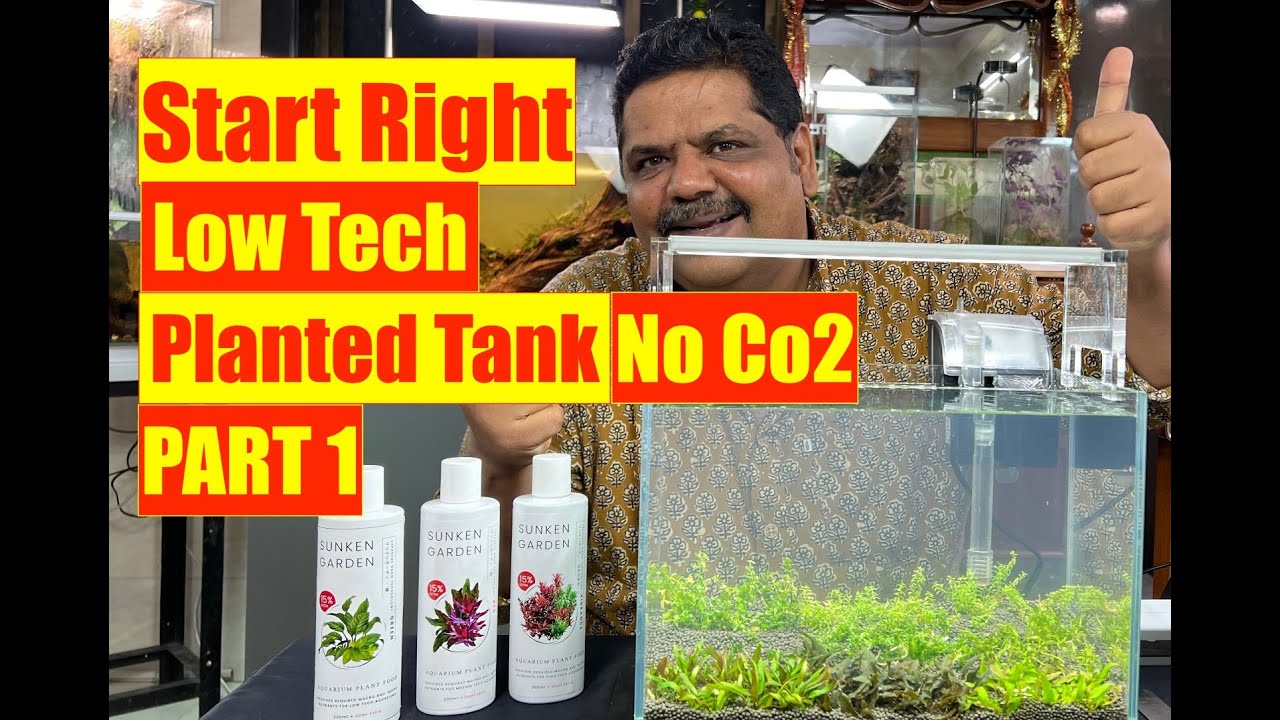 How to Start Right | Low Tech - No co2 Planted Aquarium PART 1 | Mayur Dev Aquascaper 4K